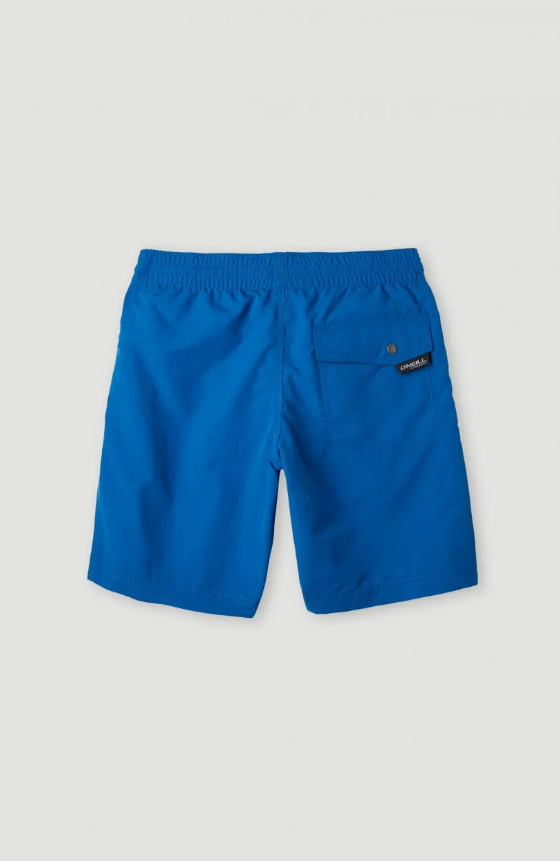 Vert 14\" Swim Shorts | Victoria Blue"