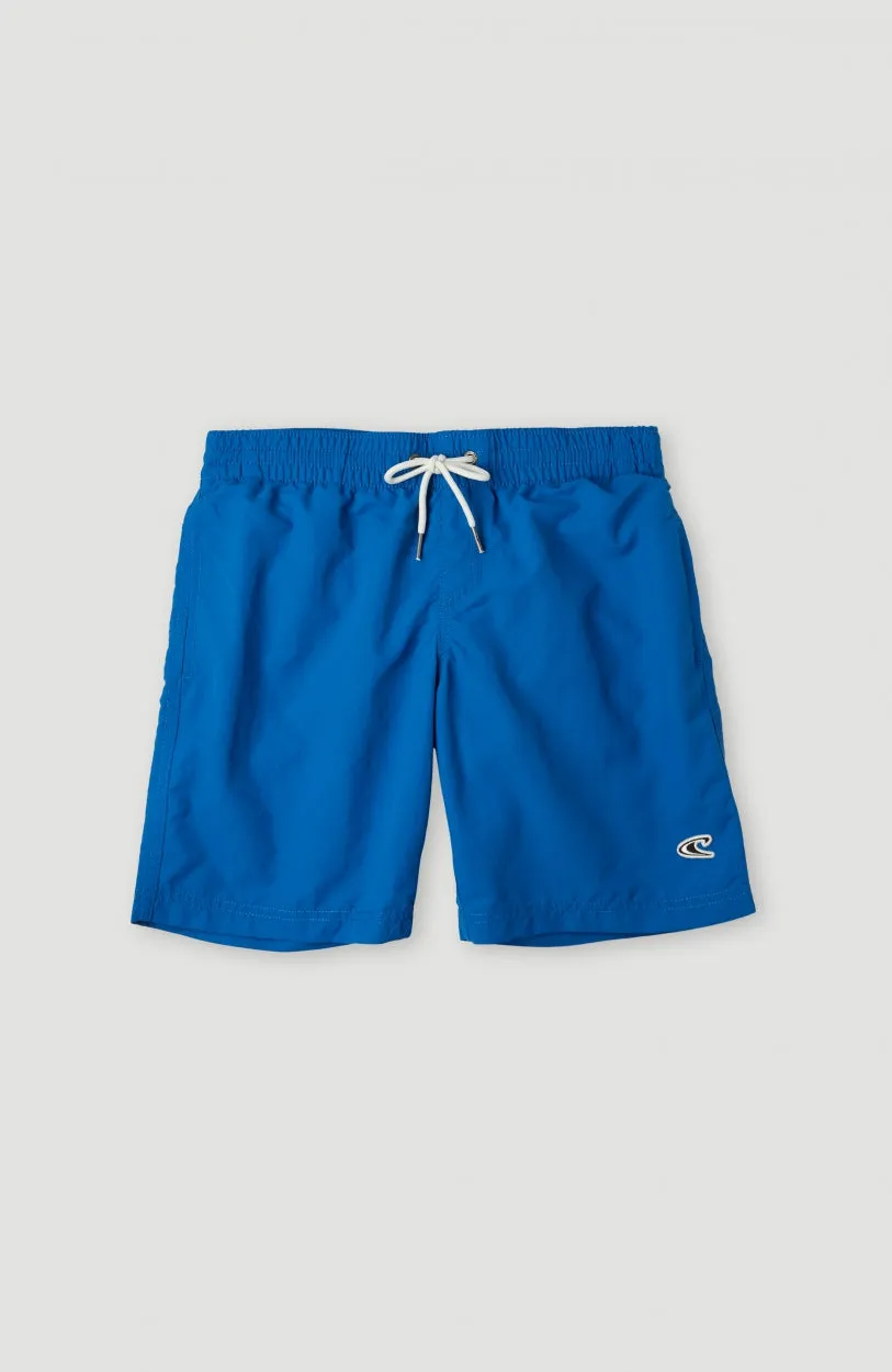 Vert 14\" Swim Shorts | Victoria Blue"